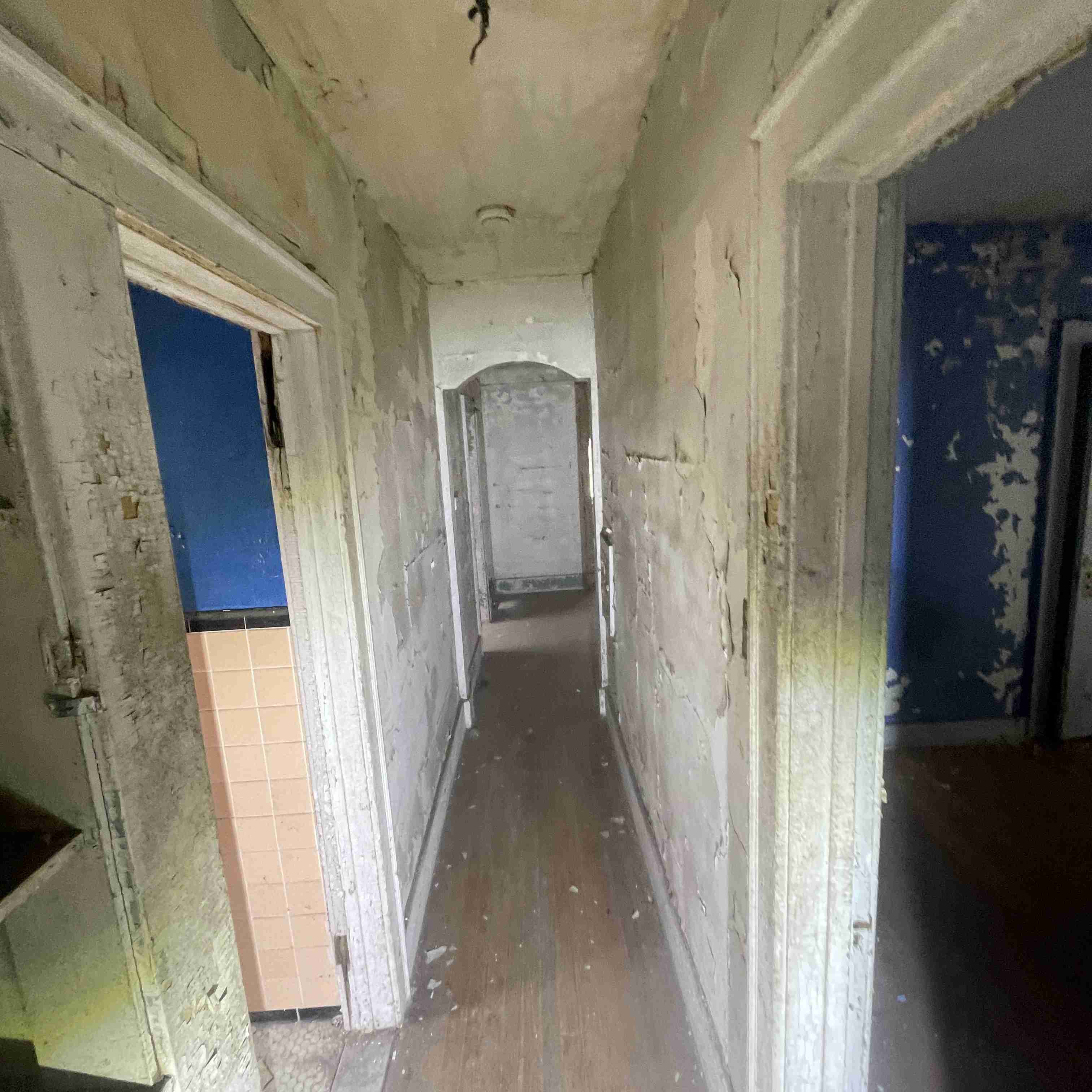 4039 Tuxedo (84).jpg